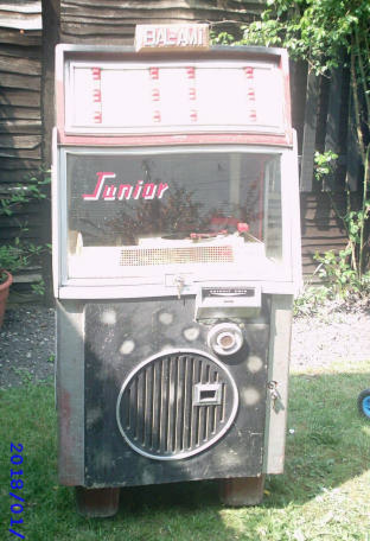 Junior - Alton 