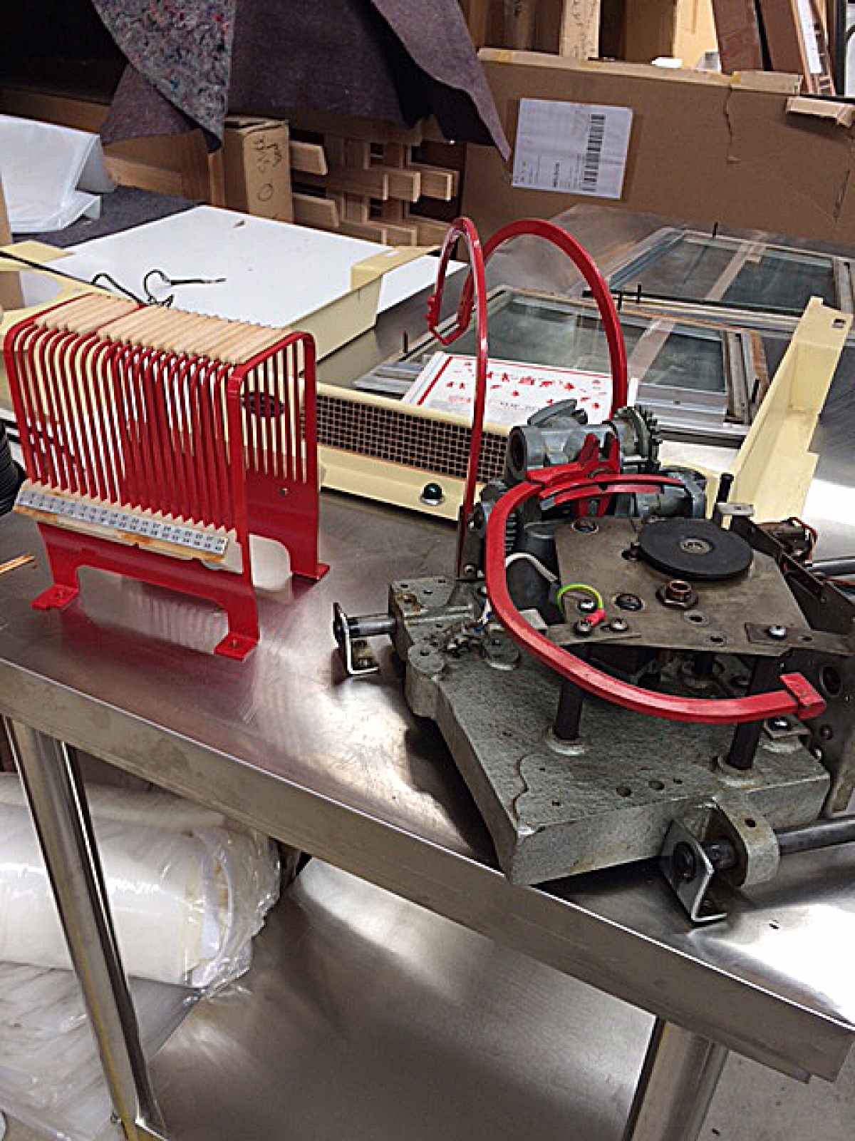 Junior - Nelson, New Zealand 